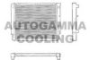 AUTOGAMMA 101288 Radiator, engine cooling